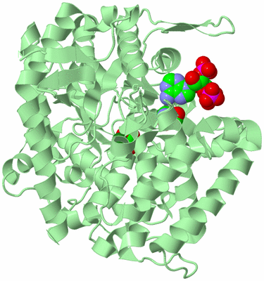 Image Biological Unit 2