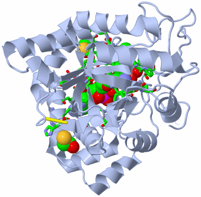 Image Biol. Unit 1 - sites