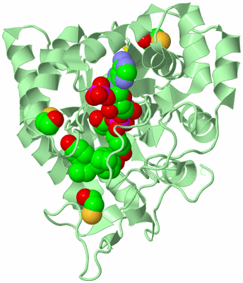 Image Biological Unit 2