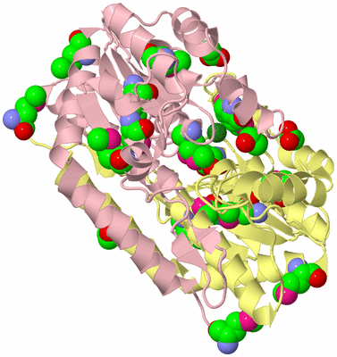 Image Biological Unit 2