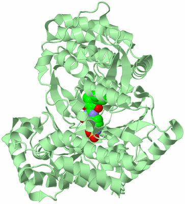 Image Biological Unit 2