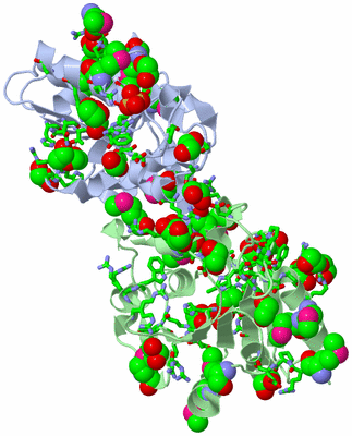 Image Biol. Unit 1 - sites