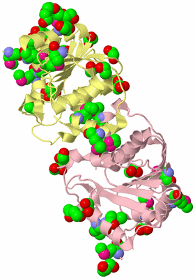 Image Biological Unit 2