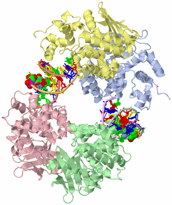 Image Asym./Biol. Unit