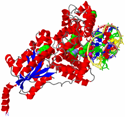 Image Asym./Biol. Unit