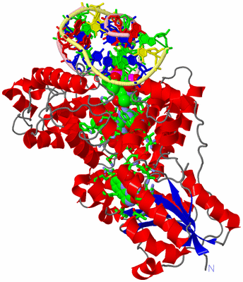 Image Asym./Biol. Unit - sites