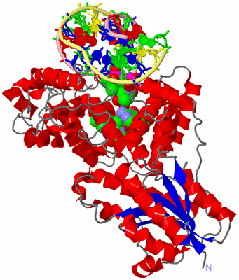 Image Asym./Biol. Unit