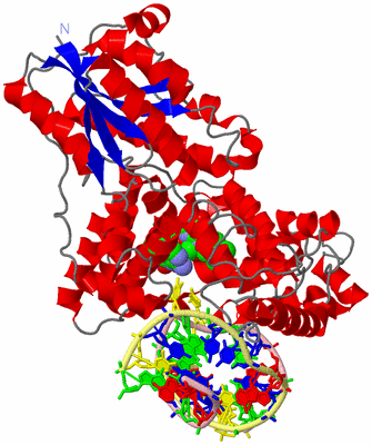 Image Asym./Biol. Unit