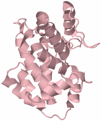 Image Biological Unit 3