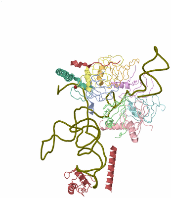 Image Biological Unit 1