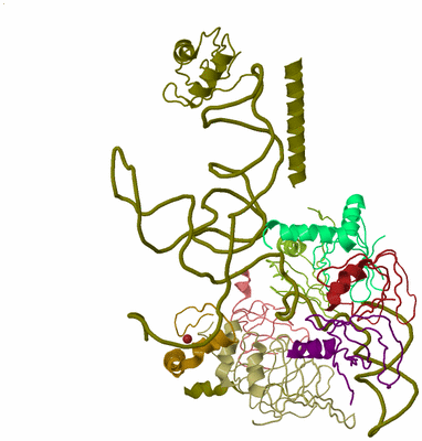 Image Biological Unit 2