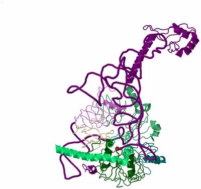 Image Biological Unit 3