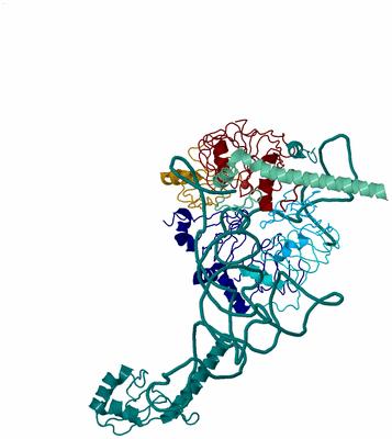 Image Biological Unit 4