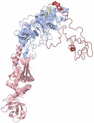 Image Biological Unit 1