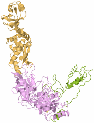 Image Biological Unit 3