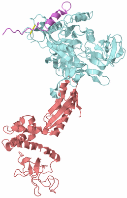 Image Biological Unit 4