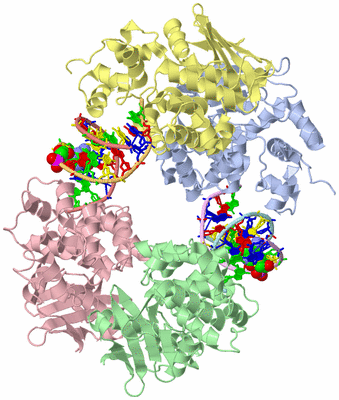 Image Asym./Biol. Unit