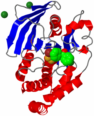 Image Asym./Biol. Unit