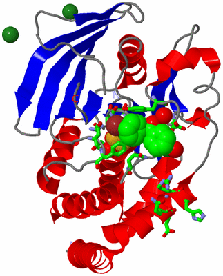 Image Asym./Biol. Unit - sites