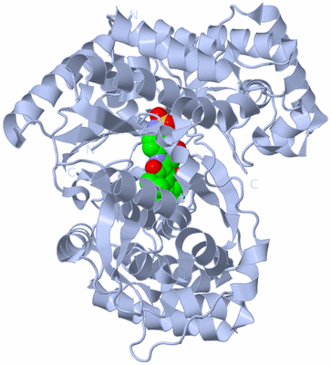 Image Biological Unit 1