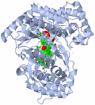 Image Biol. Unit 1 - sites