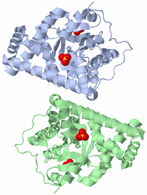 Image Biological Unit 2