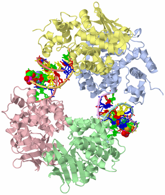 Image Asym./Biol. Unit