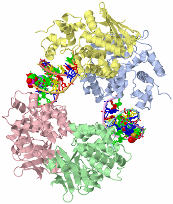 Image Asym./Biol. Unit - sites