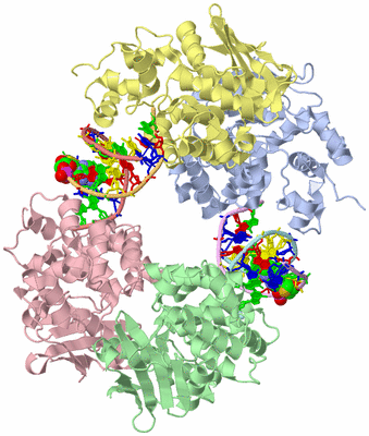 Image Asym./Biol. Unit