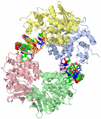 Image Asym./Biol. Unit - sites