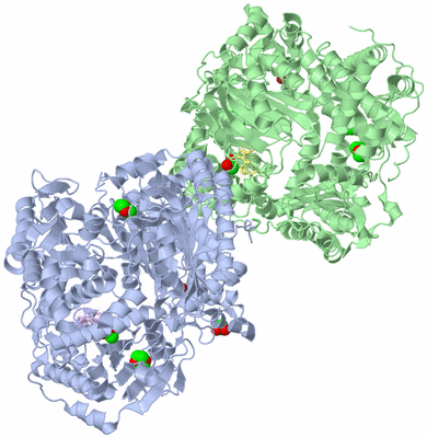 Image Asym./Biol. Unit