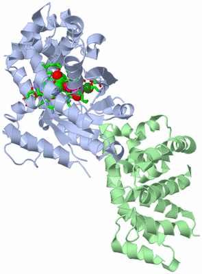 Image Asym./Biol. Unit - sites