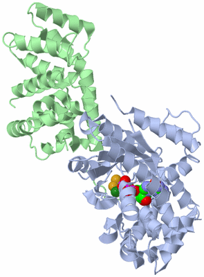 Image Asym./Biol. Unit