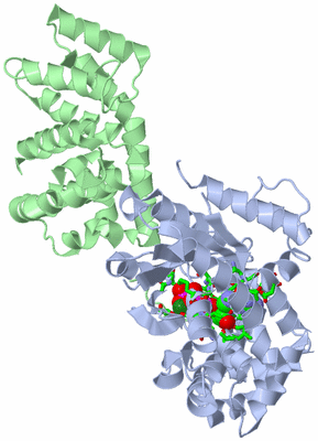 Image Asym./Biol. Unit - sites