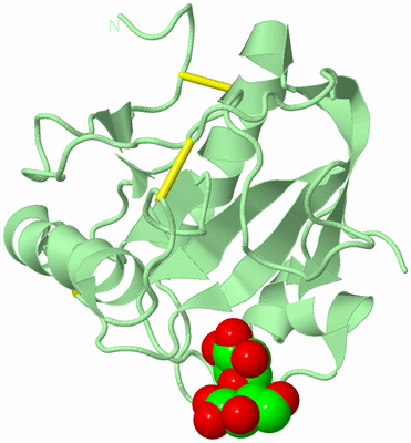 Image Biological Unit 3