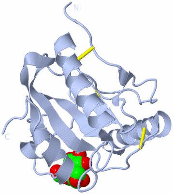 Image Biological Unit 4