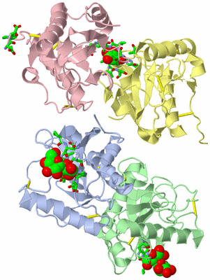 Image Asym. Unit - sites