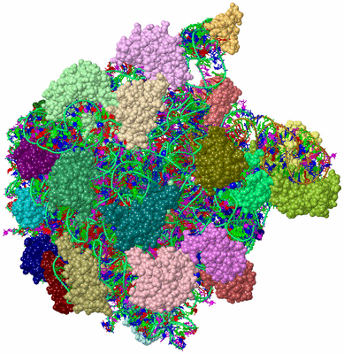 Image Asym./Biol. Unit