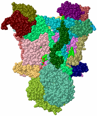 Image Asym./Biol. Unit