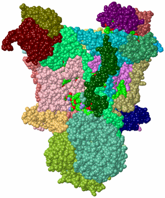 Image Asym./Biol. Unit - sites