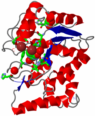 Image Asym./Biol. Unit - sites