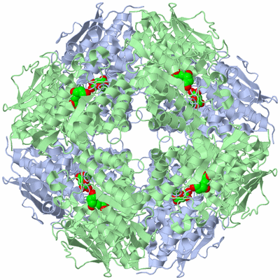 Image Biological Unit 2