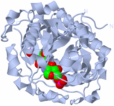 Image Biological Unit 1