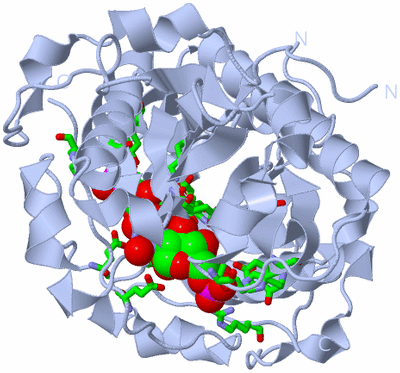 Image Biol. Unit 1 - sites