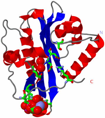 Image Asym. Unit - sites