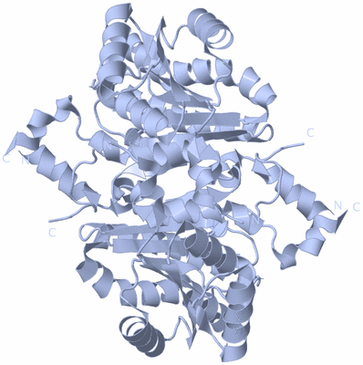 Image Biological Unit 2