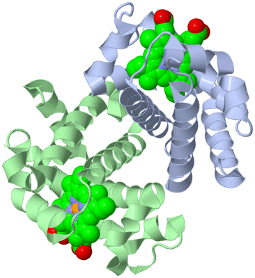 Image Biological Unit 2