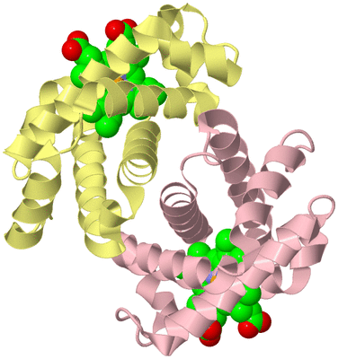 Image Biological Unit 3