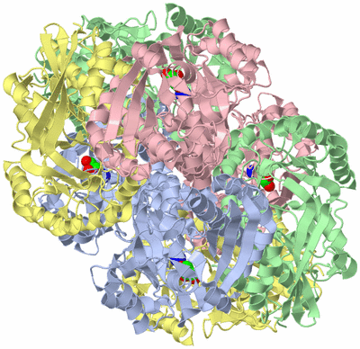 Image Biological Unit 1