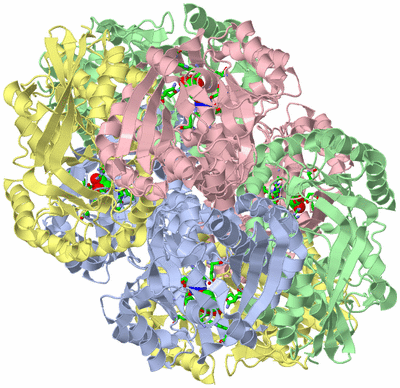 Image Biol. Unit 1 - sites